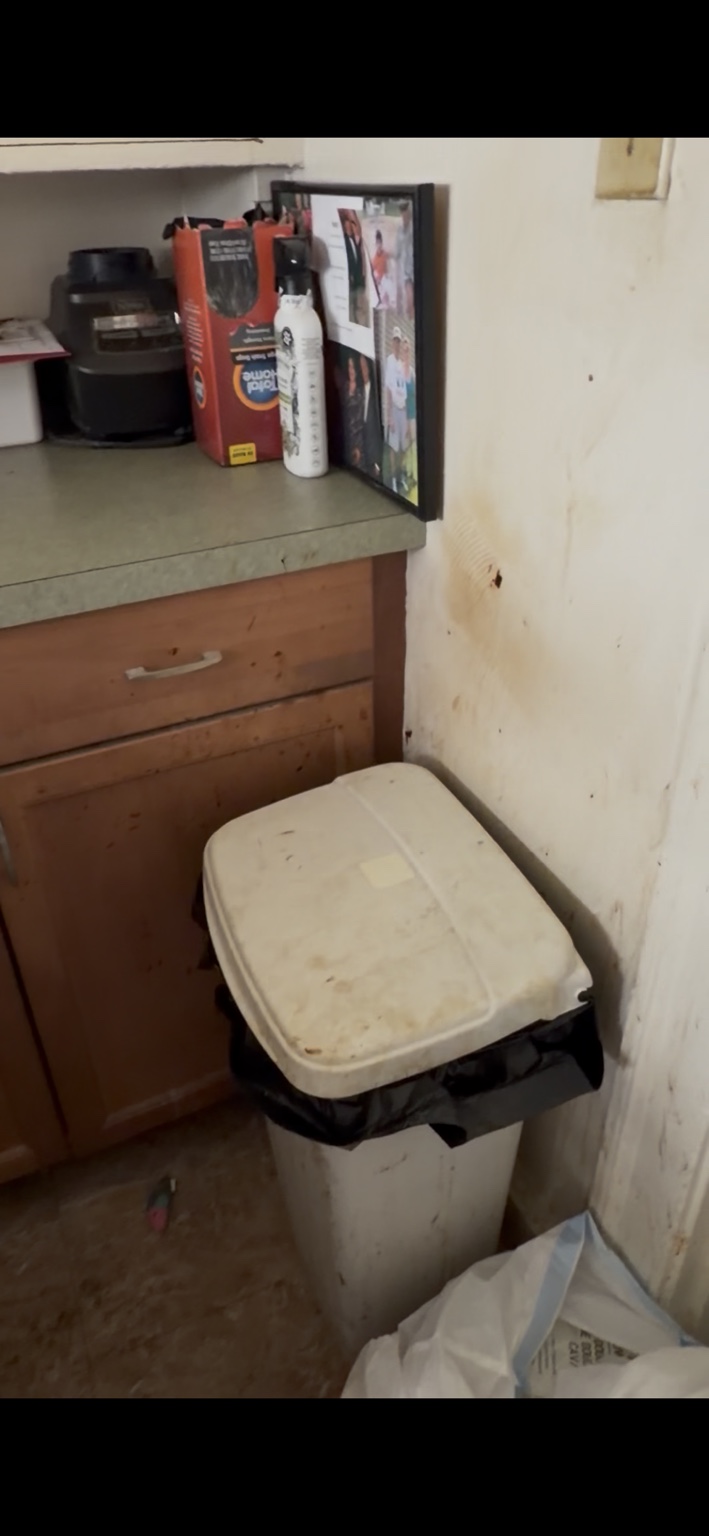 Kitchen area before cleaning